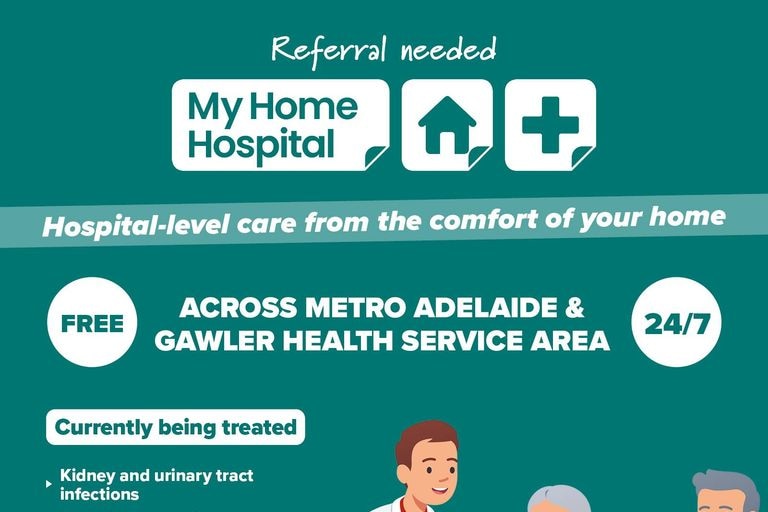 An infographic for the My Home Hospital program.