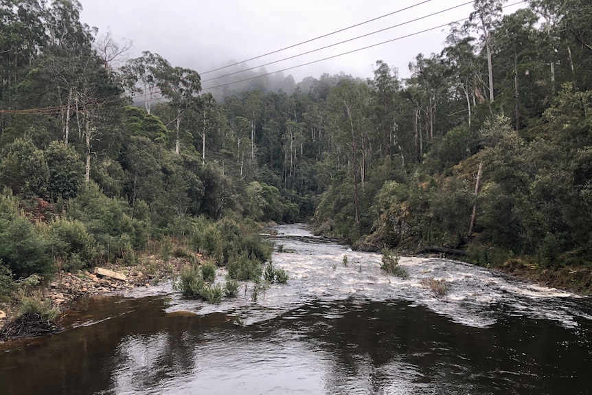 A rapidly flowing river surrounded by rocky banks and tall trees.