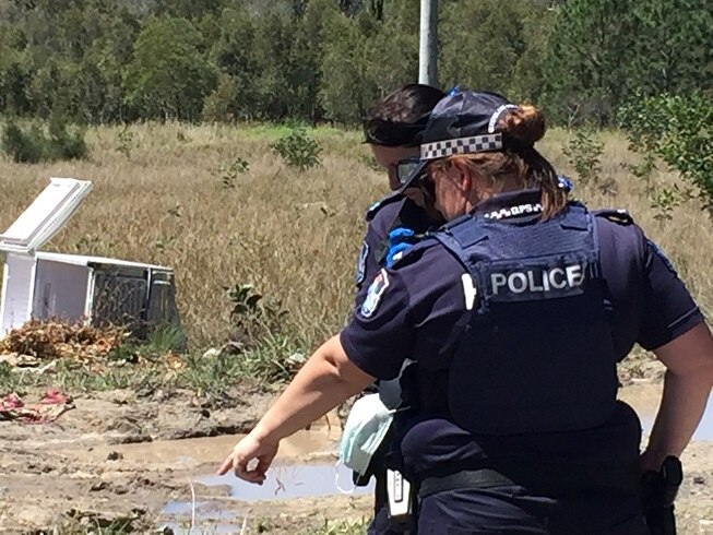 Gunman on the run after shooting south of Brisbane - ABC News