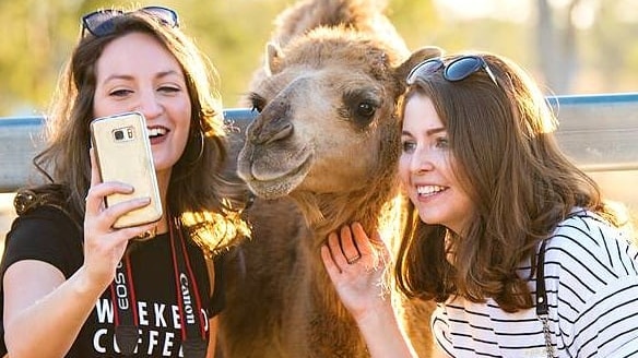 Two women take a photo with a camel.
