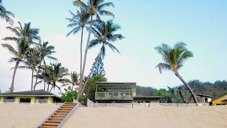 A wooden board leads onto a beach.