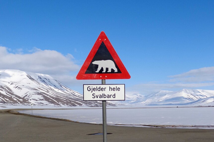 Arctic Svalbard islands in Norway