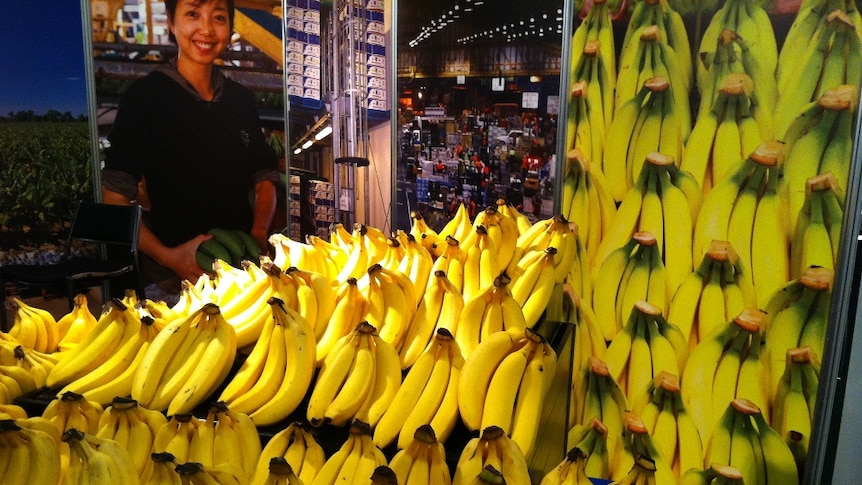 Bananas on show at Coolum