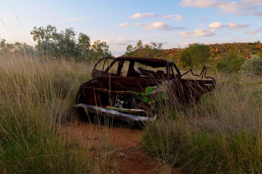 A blackened car sits in tall spinifex grass