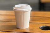 A white disposable coffee cup and lid sits on a wooden bench in the daylight.
