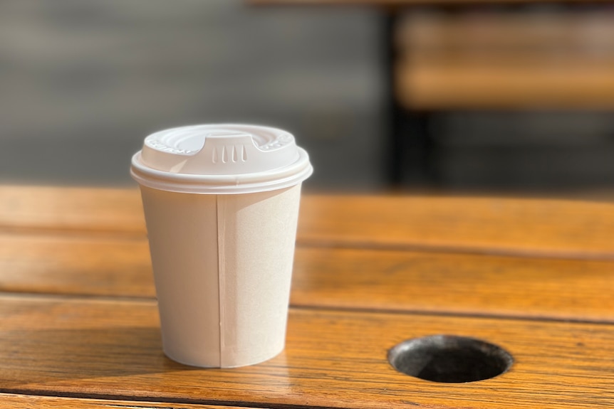 A white disposable coffee cup and lid sits on a wooden bench in the daylight.