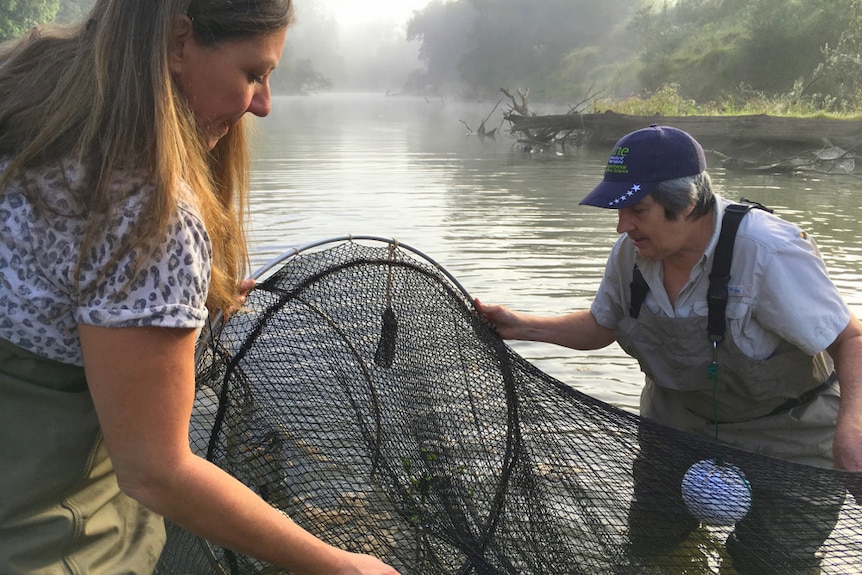 Saranne Judas and Marilyn Connell empty a turtle net in the Mary River