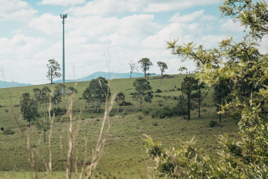 A large telecommunications tower stands on a hill in a rural setting.