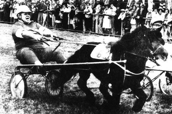Russell Hinze drives a shetland pony