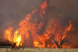 Fire danger ... 'The temperatures in the north of the state this year are unprecedented'