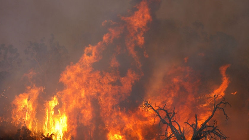 The Bunyip State Park blaze has been fanned by gusty winds.