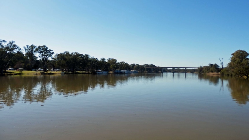 Murray River at Mildura, Victoria in August, 2012.