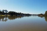 Murray River at Mildura, Victoria in August, 2012.