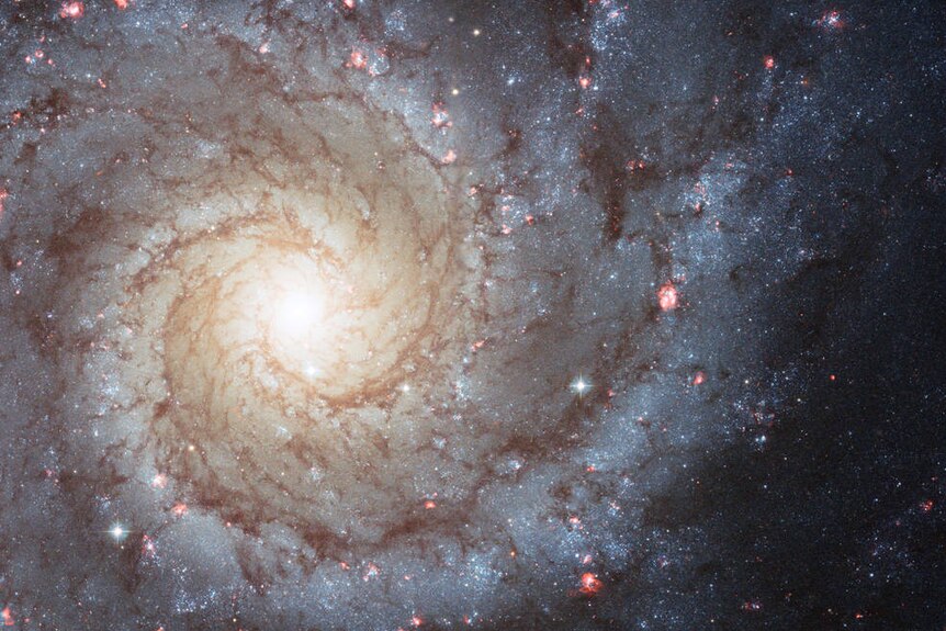 Obraz z Hubble'a M74