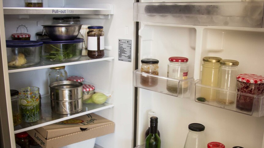 Plastic-free fridge interior