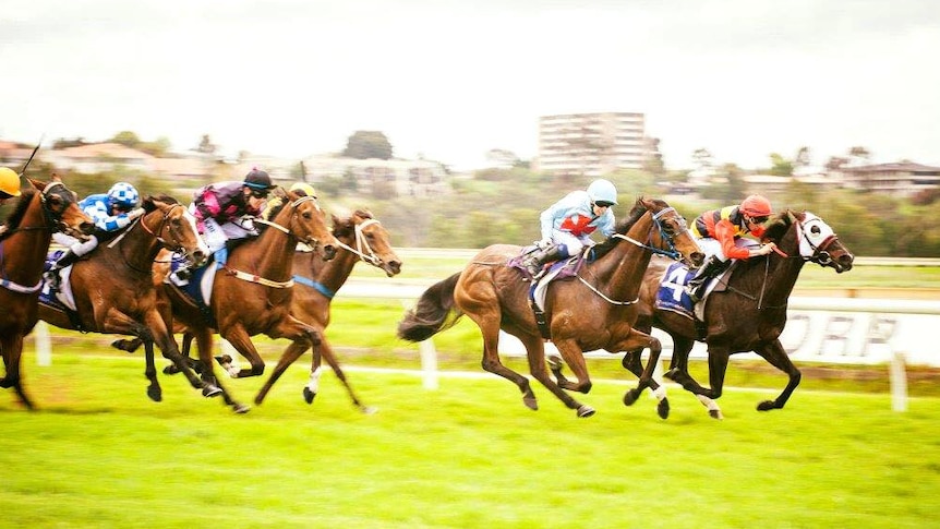 Belmont Park racecourse in Perth