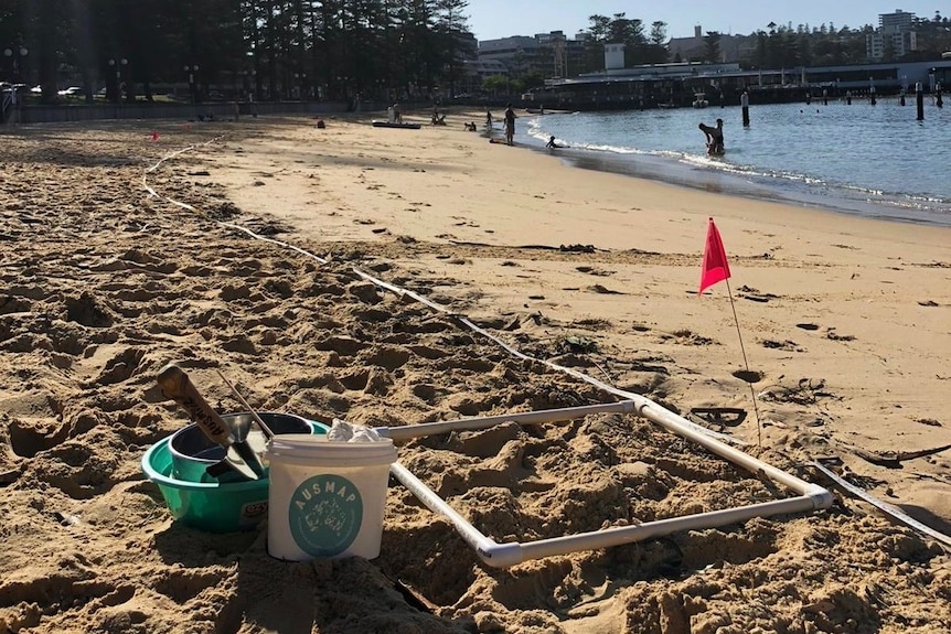 Une plage avec des matériaux de collecte en plastique et un drapeau rouge.