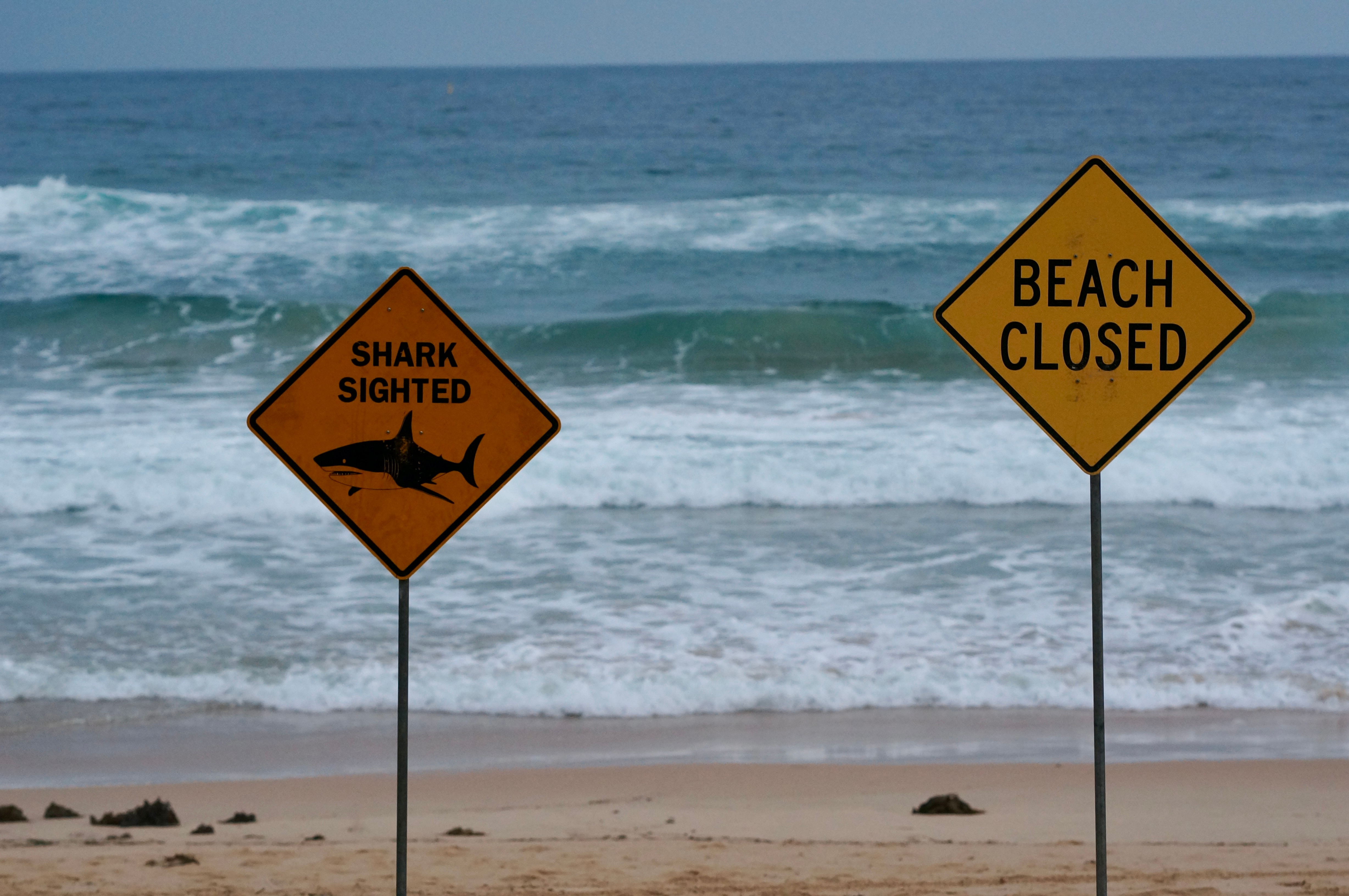 Sinal de tubarão em uma praia.