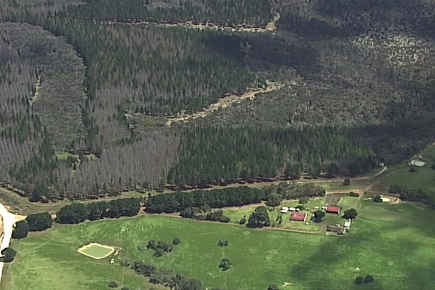 An aerial photo of a house next to a forest