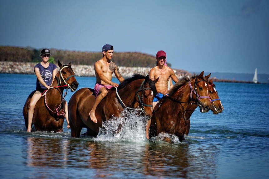 Victorian horses in the water at Mindil Beach