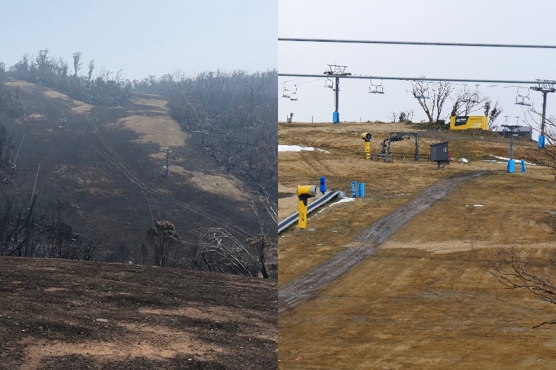 a side to side picture of burnt ski fileds on the left and a rebuilt ski field on the right