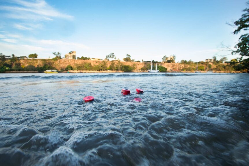 "Drifters" in the water at Brisbane river used to detect speed and height of flood waters