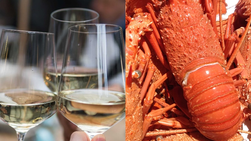 A split image showing glasses of white wine being clinked and a lobster.