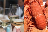 A split image showing glasses of white wine being clinked and a lobster.