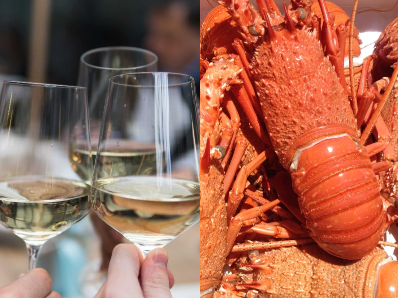 Composite of wine and lobsters