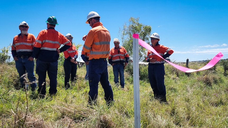 workers in high visibility standing in field