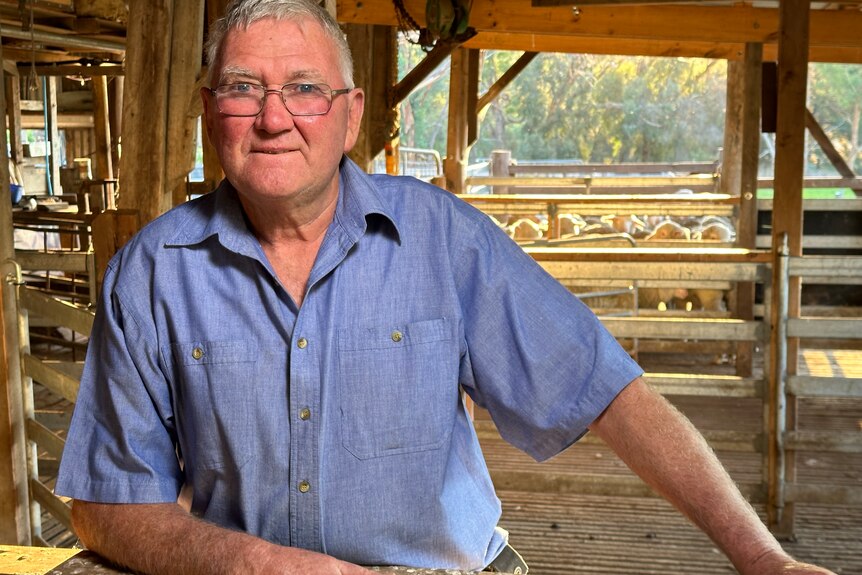 Photo of a man standing in a woolshed.