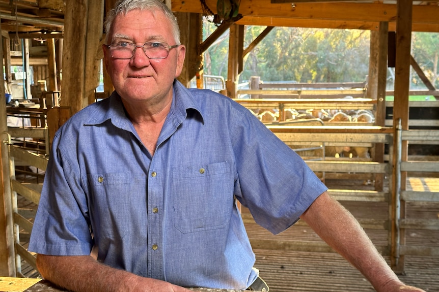 Photo of a man standing in a woolshed.