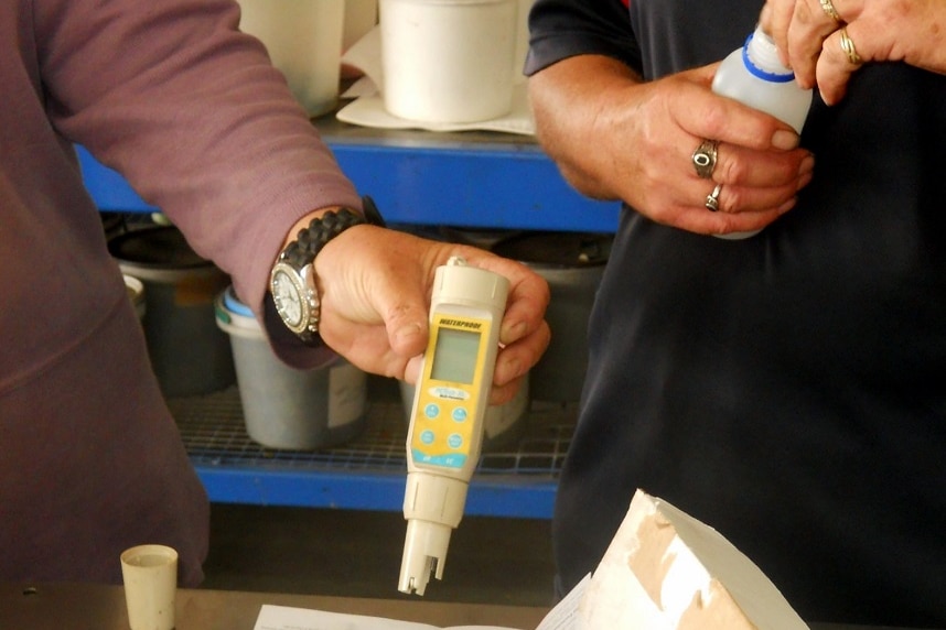 A farmer holds testing equipment used for checking for listeria in rockmelons.