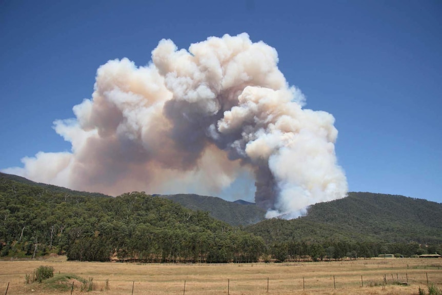 Smoke rises from a bushfire near Harrietville