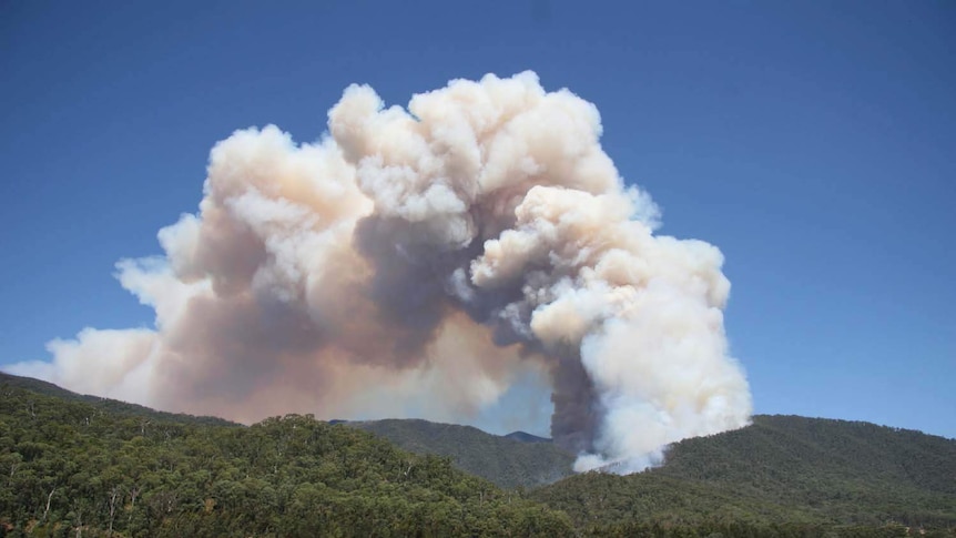 Smoke rises from a bushfire near Harrietville