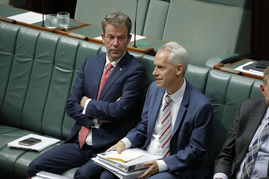 Dan Tehan and Andrew Giles sit alongside each other in the house of representatives