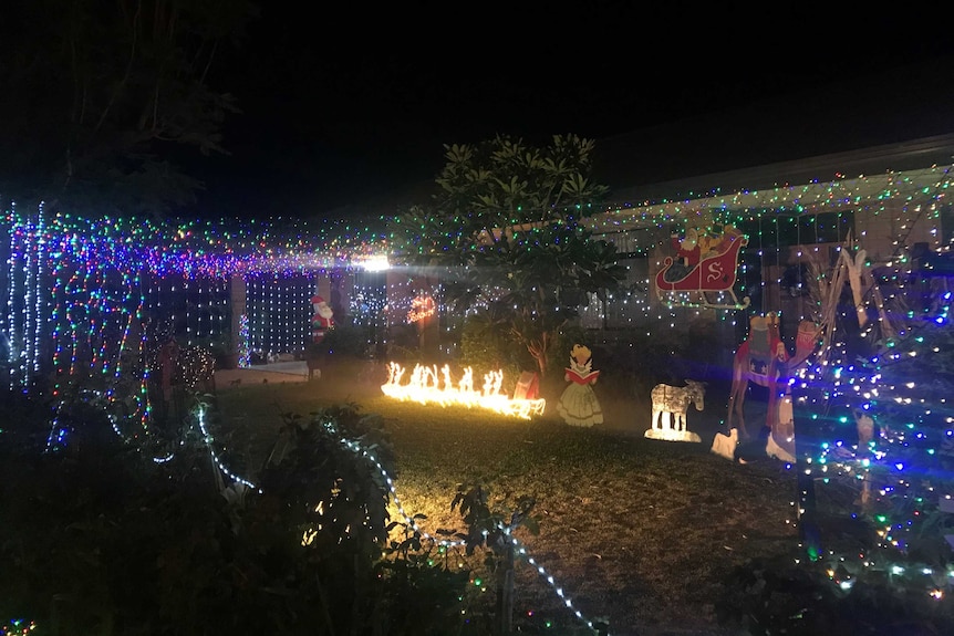 Christmas lights in a front garden at night.