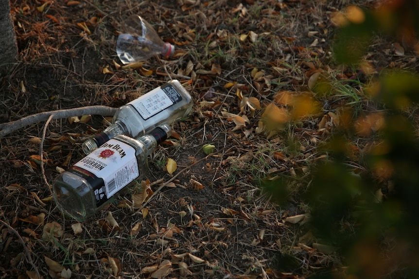 Two Jim Beam bottles lay on the grass in morning light in Darwin.