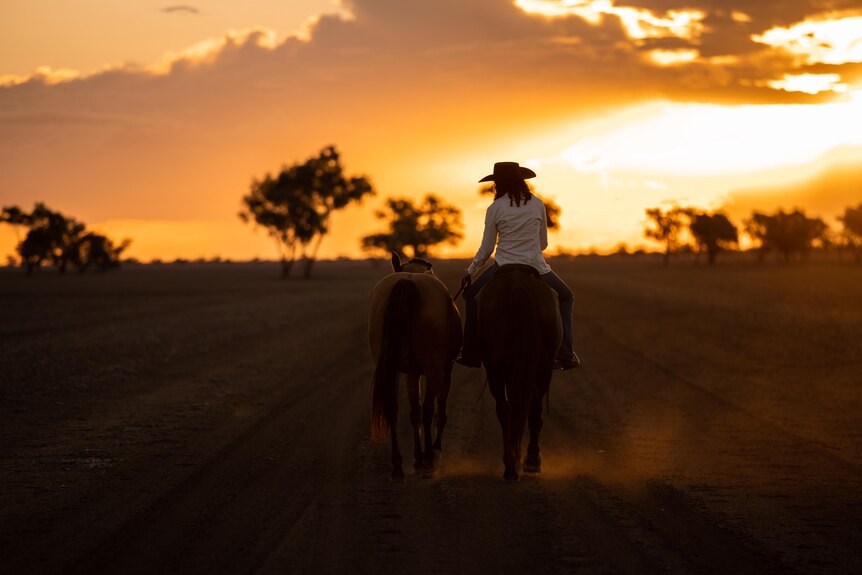 silhouette of woman riding horse, walking along road into sunset