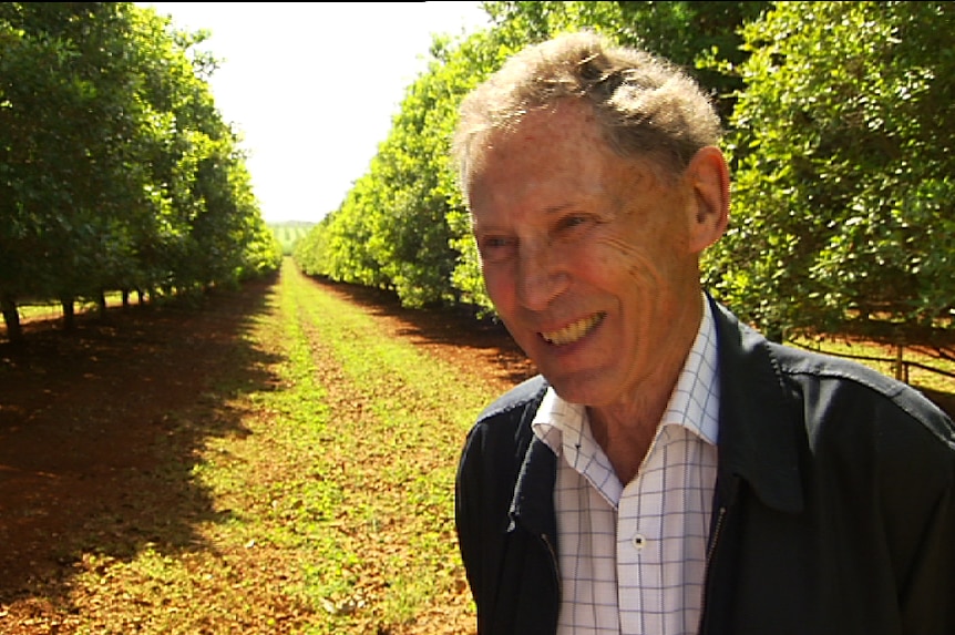 Macadamia farmer Phil Zadro