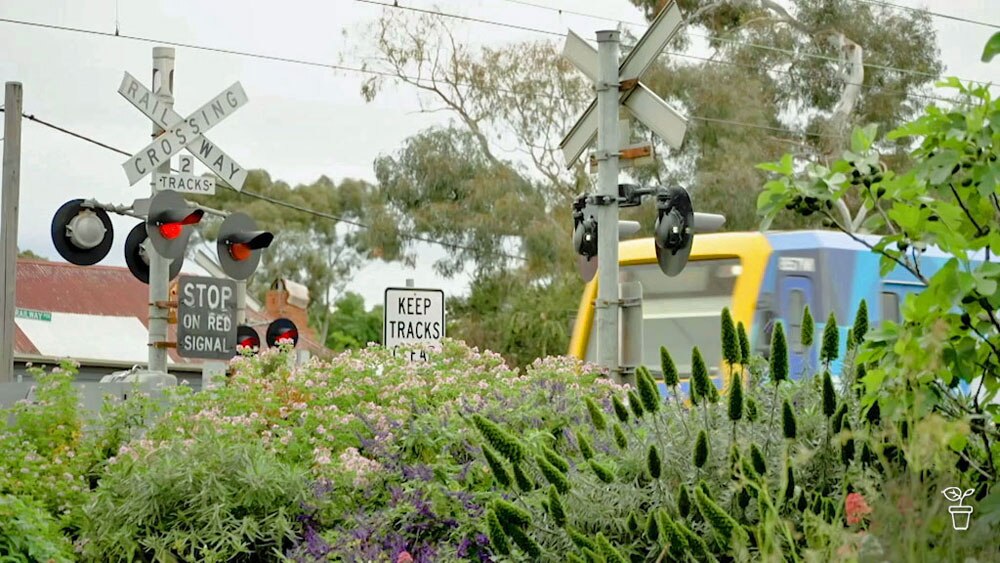 Trackside Legacy - Gardening Australia