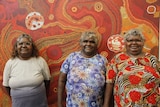 Aboriginal artists Maringka Tunkin, Freda Brady and Yaritji Tingila Young from Tjala Arts in Alice Springs