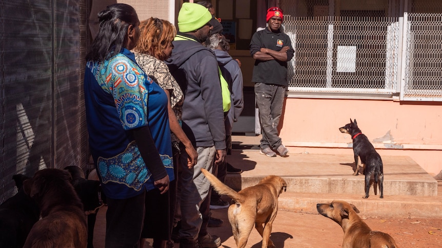 people line up to be vaccinated. 