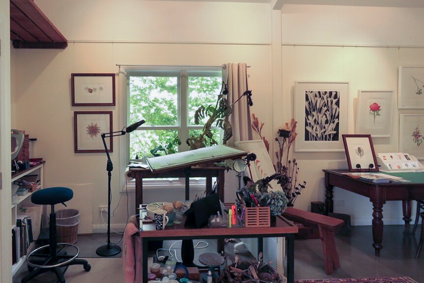 Elaine's studio