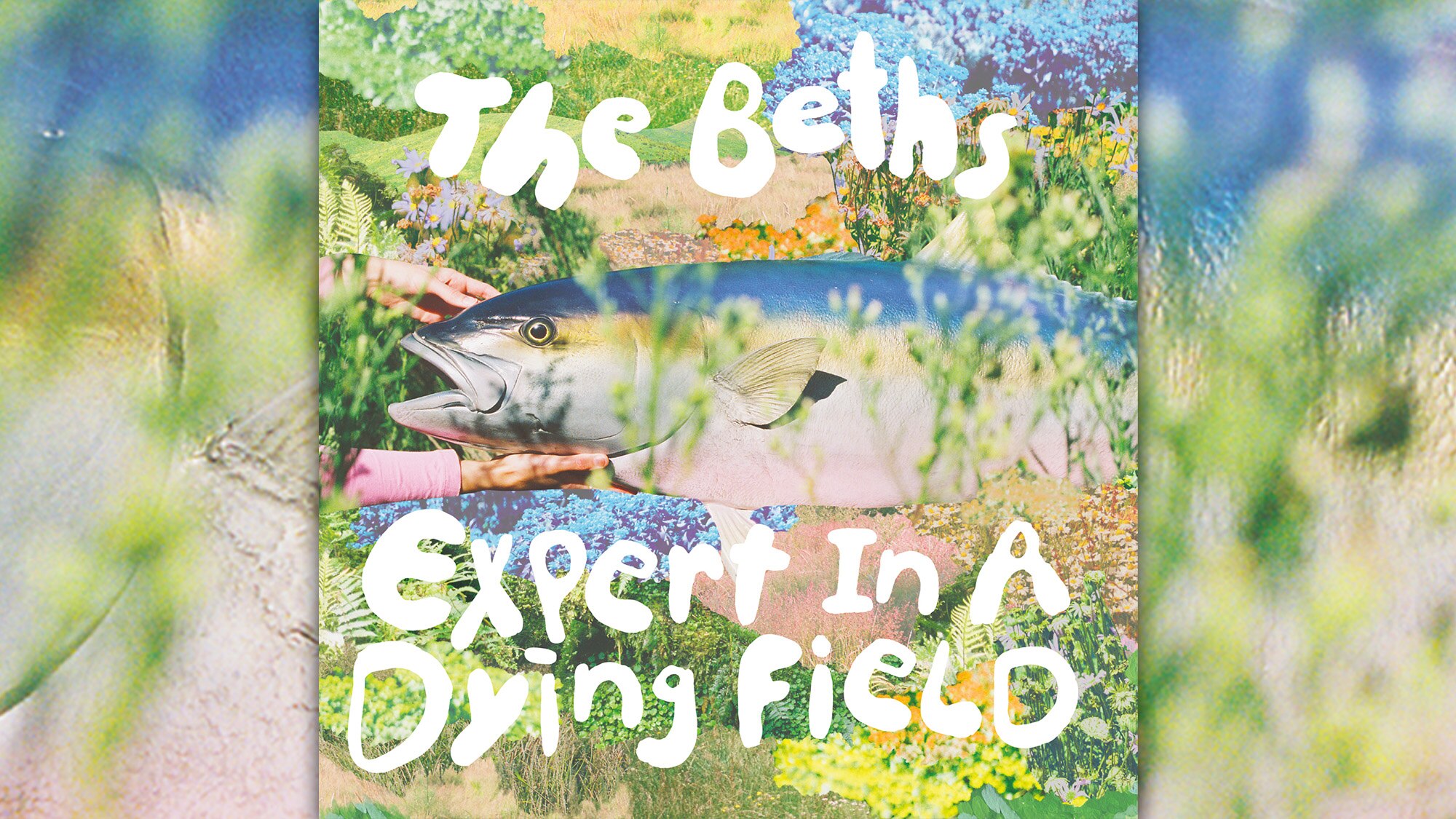 A picture of a fish on the colourful front cover of The Beths' album Expert In A Dying Field