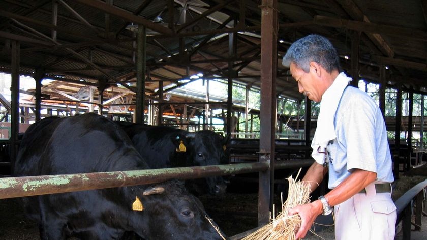 Some Japanese farmers welcome free trade agreement