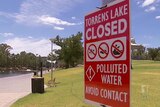Ongoing fight to stop algal blooms