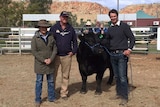 Belinda and Brad Seymour stand beside a black bull and the bull's breeder Trent Walker