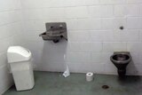A bleak prison cell showing a rubbish bin, a sink and a toilet, with rolls of toilet paper on the floor.