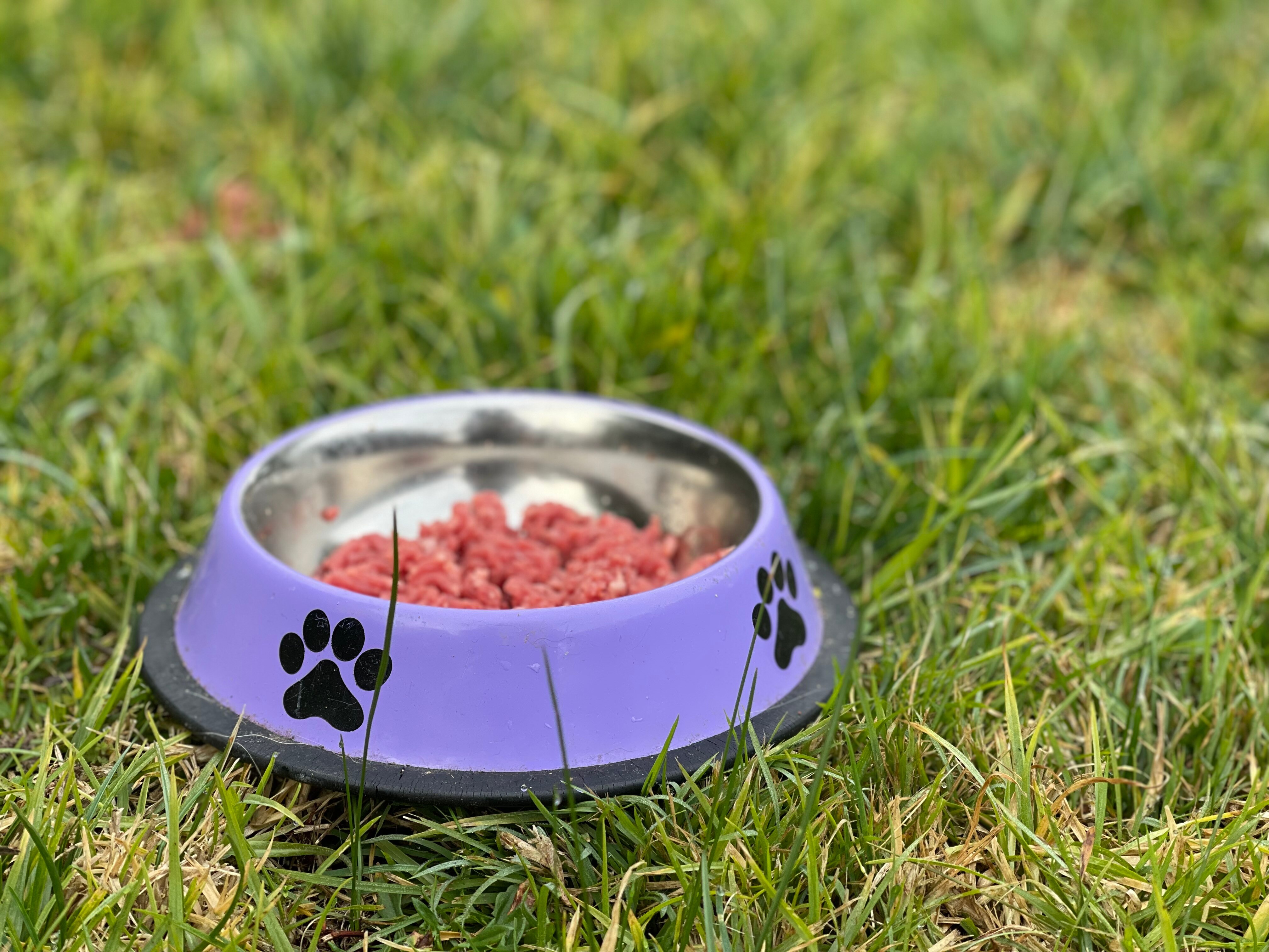 Pet food crisis deepens with spotlight on NT horse meat, questions over